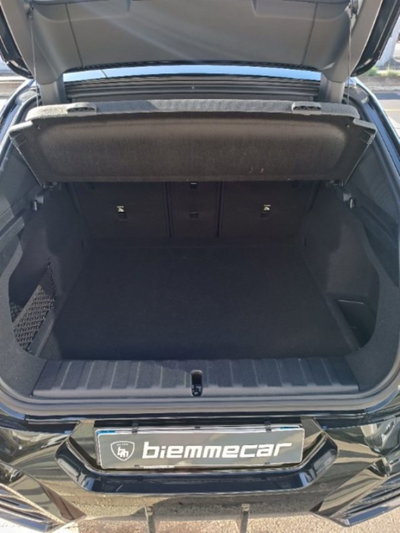 BMW X2 sdrive 18d MSport Pro auto (8)