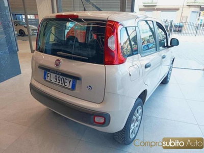 Fiat Panda 0.9 TwinAir Turbo Natural Power Pandazzurri (8)