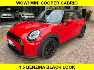 MINI Mini Cabrio 1.5 Cooper Cabrio usata