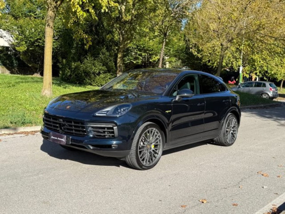 Porsche Cayenne Coupé 3.0 V6 Platinum Edition (19)