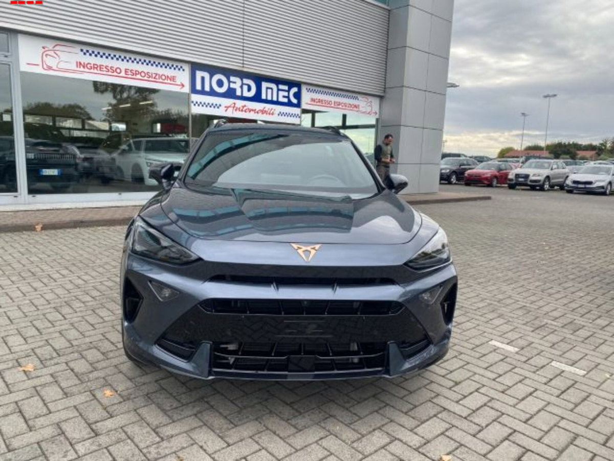 Cupra Formentor Formentor 2.0 TDI (2)