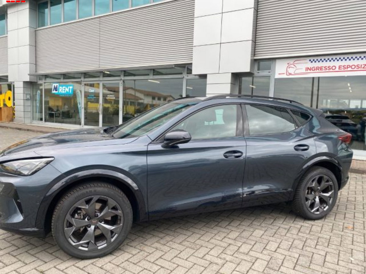 Cupra Formentor Formentor 2.0 TDI (6)