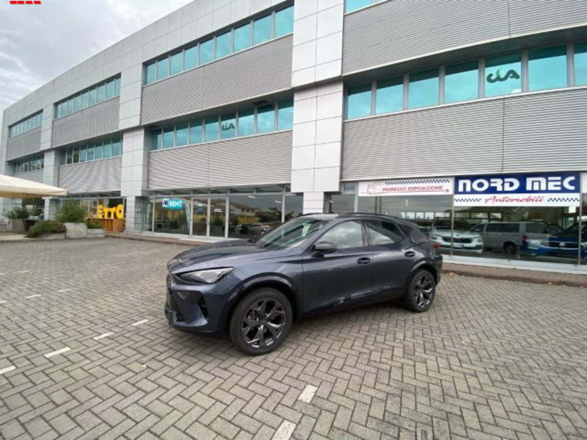 Cupra Formentor Formentor 2.0 TDI (7)