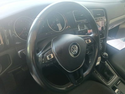 Volkswagen Golf 1.4 TGI 5p. Business BlueMotion (13)