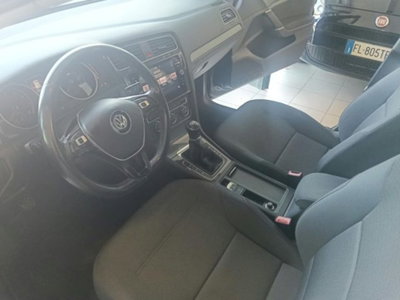 Volkswagen Golf 1.4 TGI 5p. Business BlueMotion (8)