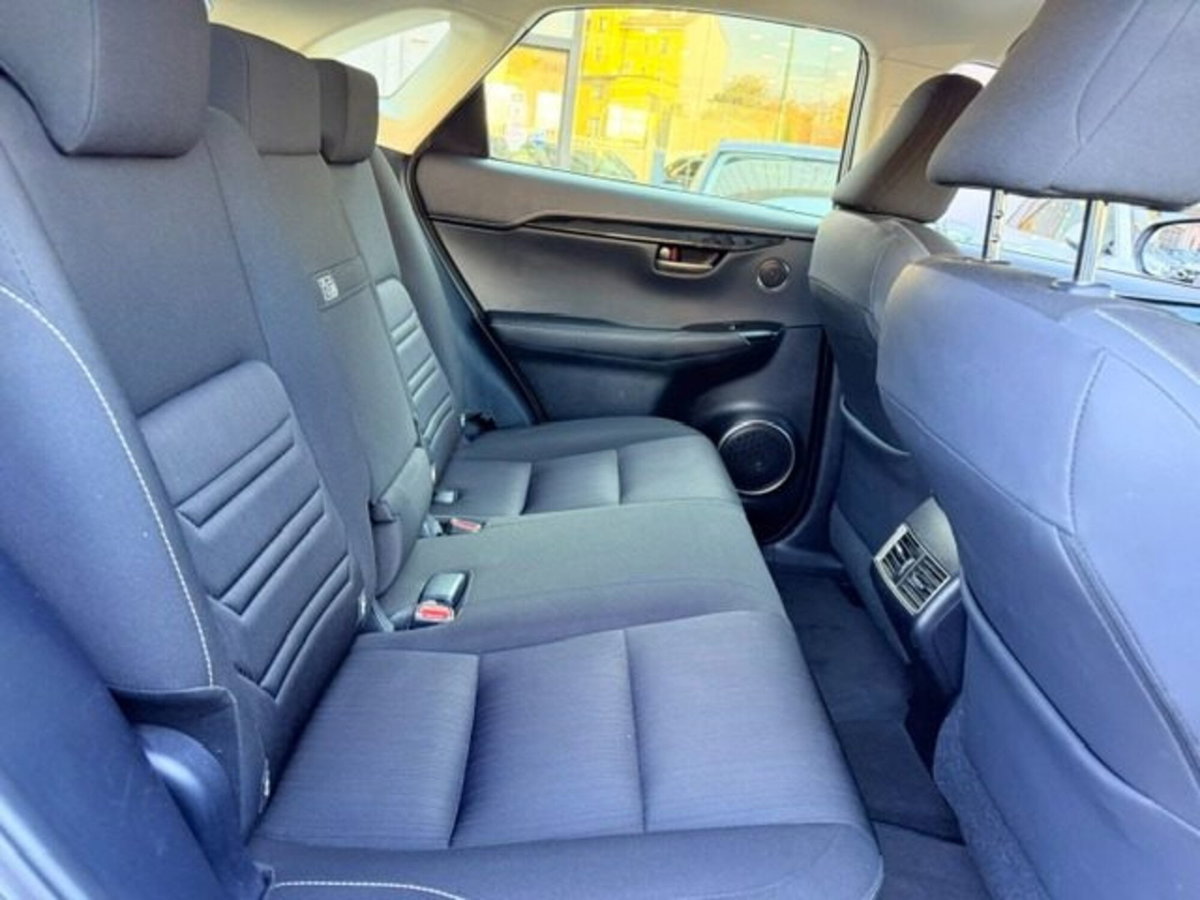 Lexus NX Hybrid Business (10)