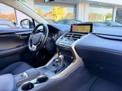 Lexus NX Hybrid Business (13)