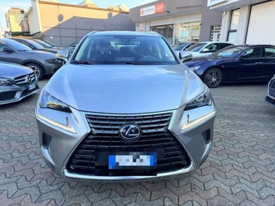 Lexus NX Hybrid Business (2)
