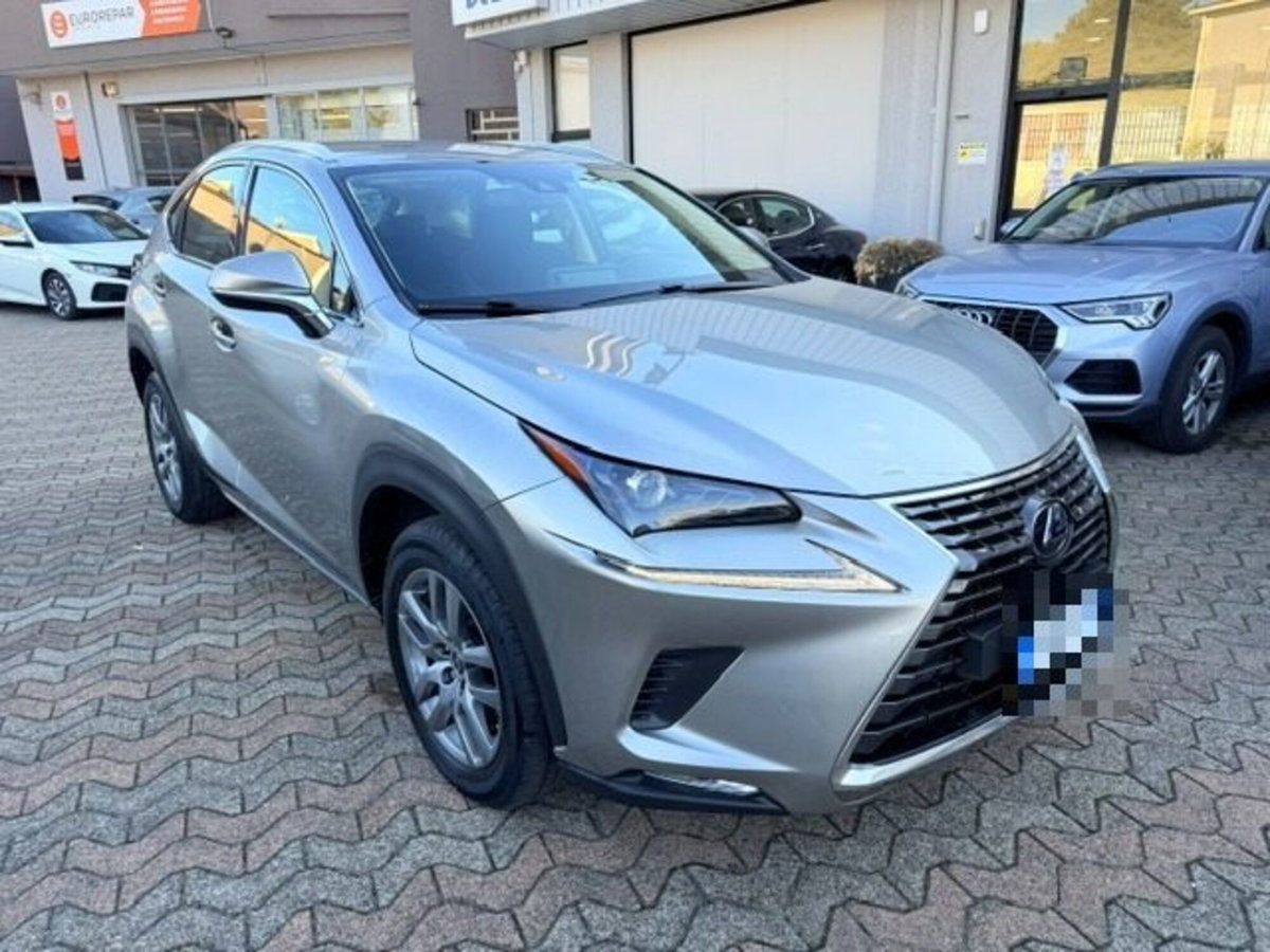 Lexus NX Hybrid Business (3)