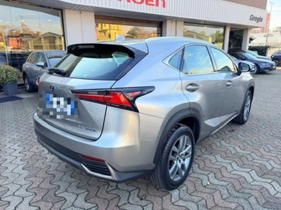 Lexus NX Hybrid Business (4)