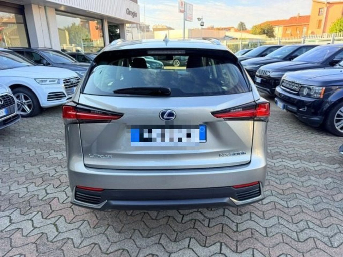 Lexus NX Hybrid Business (5)