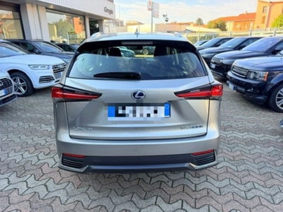 Lexus NX Hybrid Business (5)