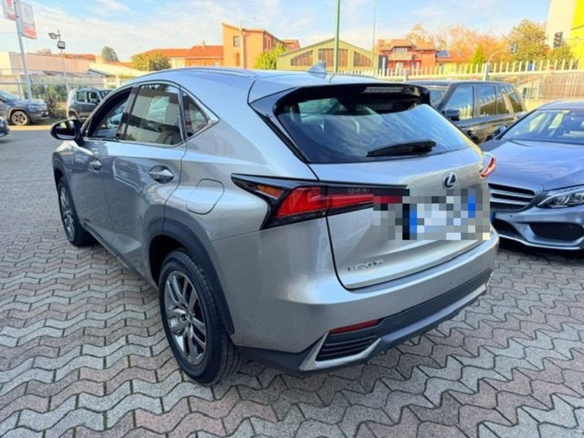 Lexus NX Hybrid Business (6)