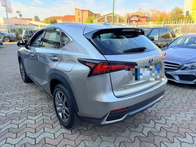 Lexus NX Hybrid Business (6)