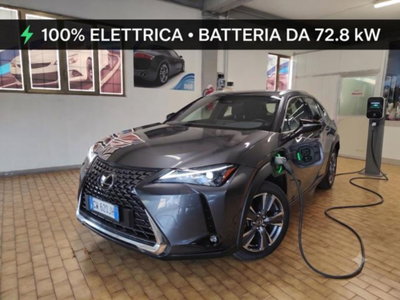 Lexus UX Full Electric Luxury (2)