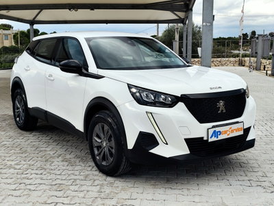 Peugeot 2008 BlueHDi 110 S&S Active Pack usata