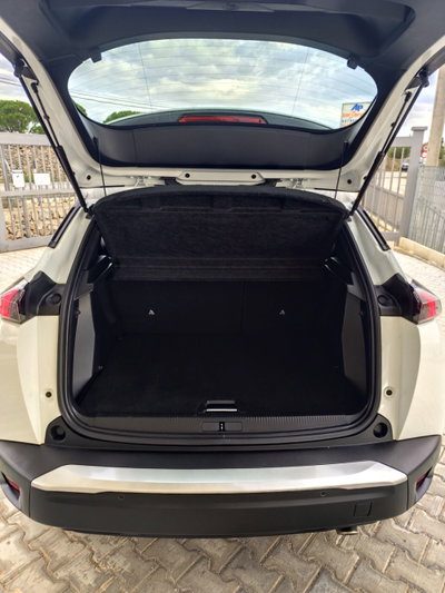 Peugeot 2008 BlueHDi 110 S&S Active Pack (19)