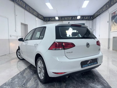 Volkswagen Golf 1.6 TDI 110 CV 5p. Business BlueMotion Technology (5)