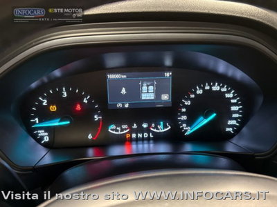 Ford Focus Station Wagon 1.5 EcoBlue 120 CV automatico SW Business (13)