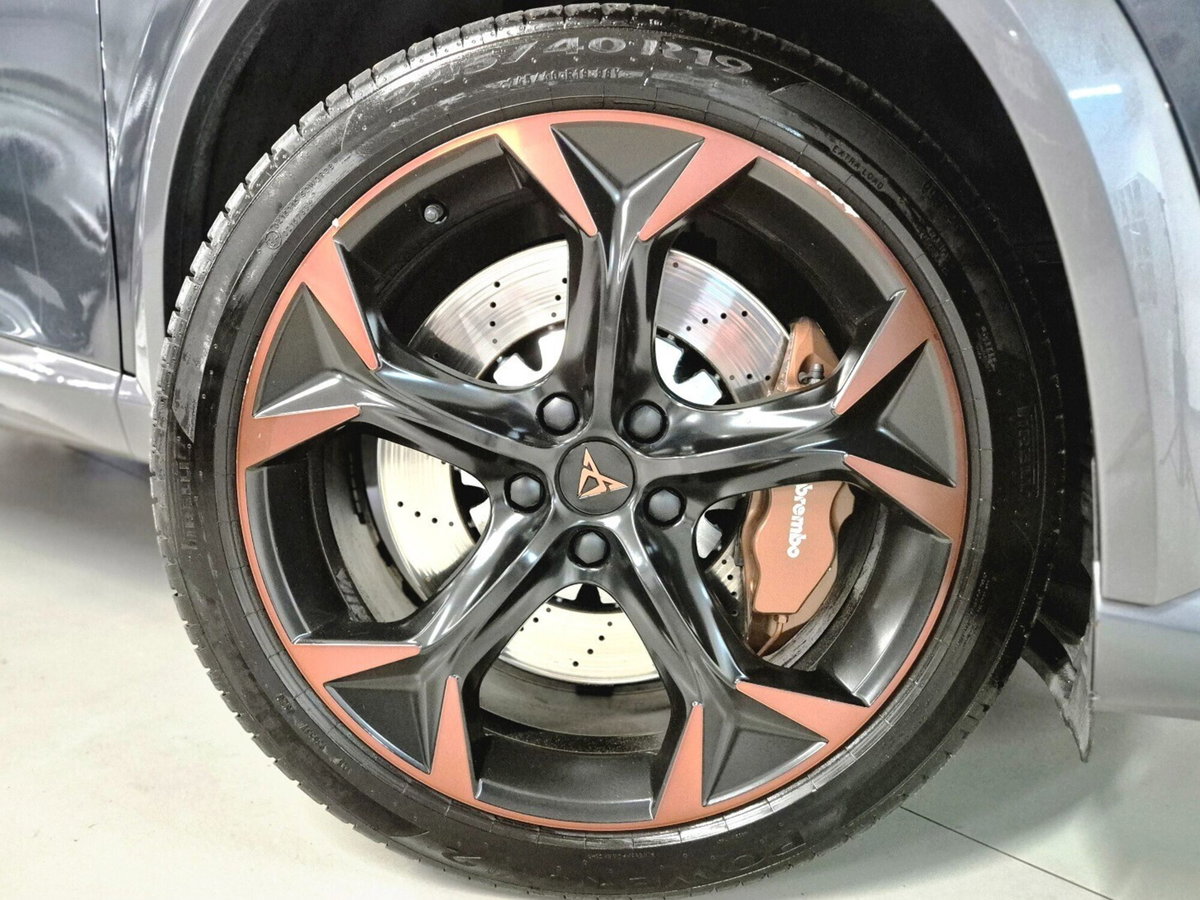 Cupra Formentor Formentor 2.0 TSI 4Drive DSG VZ Launch Edition (15)