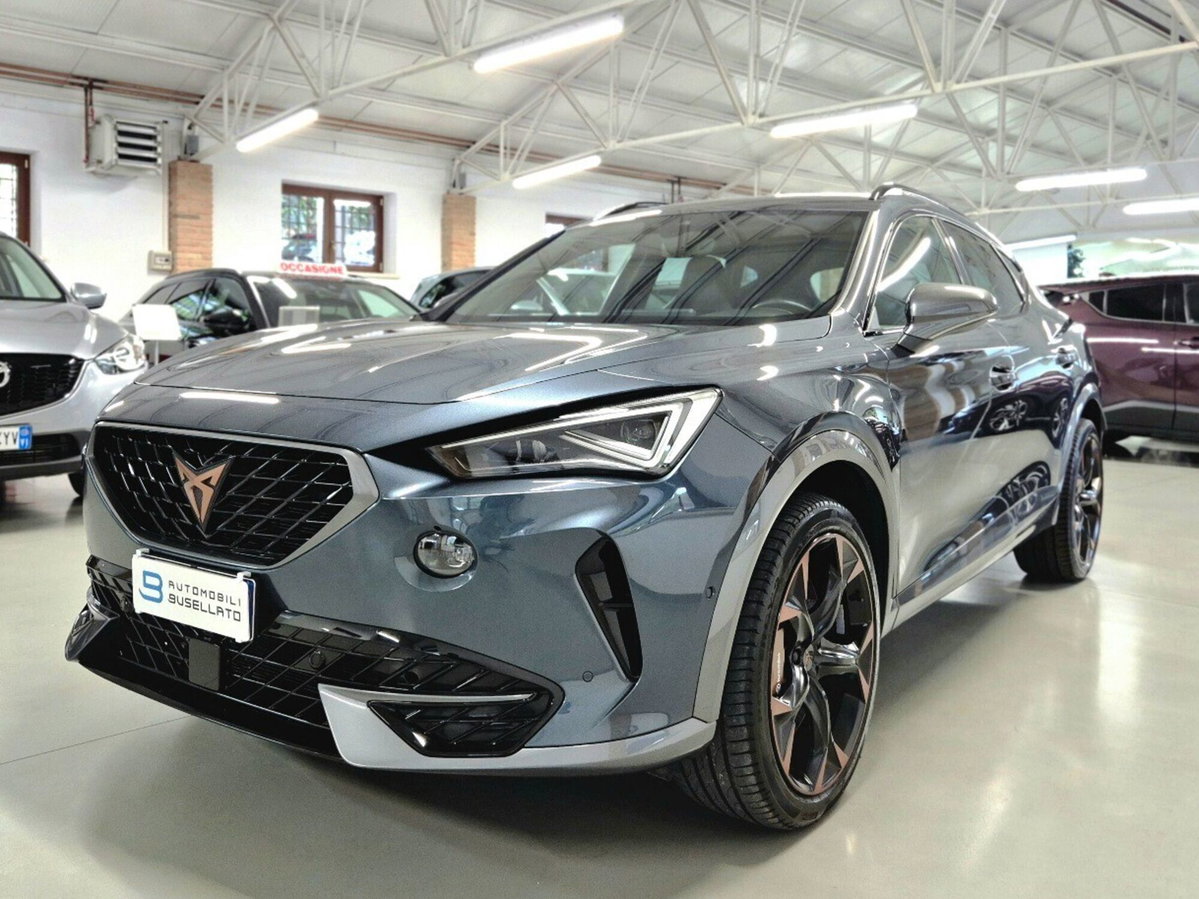 Cupra Formentor Formentor 2.0 TSI 4Drive DSG VZ Launch Edition (3)