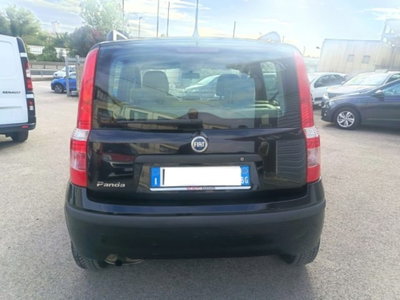 Fiat Panda 1.2 Emotion (8)