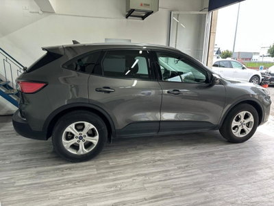 Ford Kuga 1.5 EcoBoost 120 CV 2WD (5)