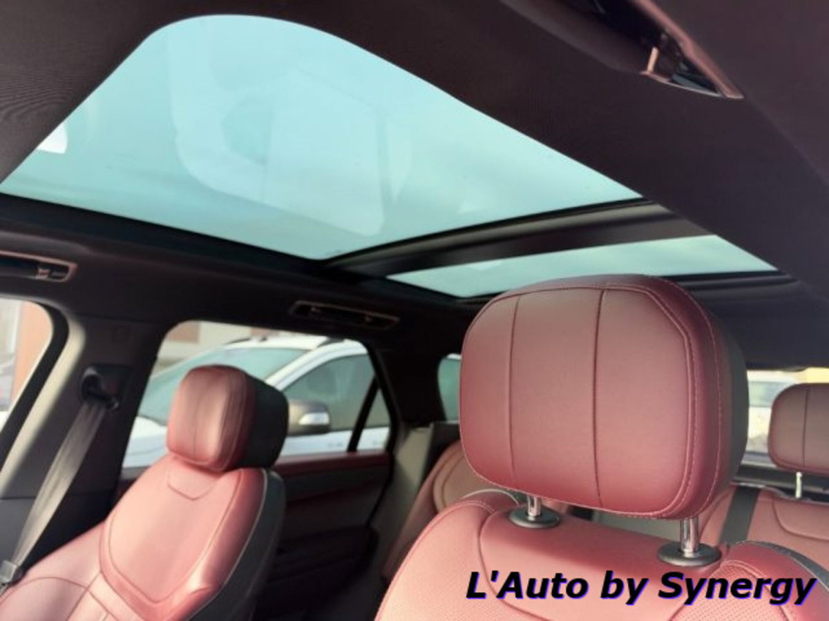 Land Rover Range Rover Sport 3.0D l6 249 CV HSE Dynamic Stealth (9)