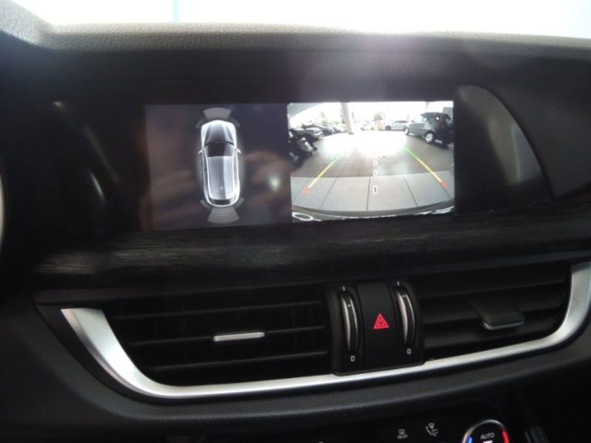 Alfa Romeo Stelvio Stelvio 2.2 Turbodiesel 190 CV AT8 Q4 Super Business (11)