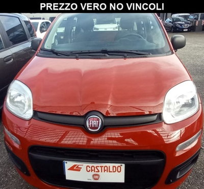Fiat Panda 1.2 Pop usata