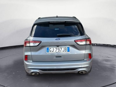 Ford Kuga 1.5 EcoBlue 120 CV 2WD ST-Line (7)
