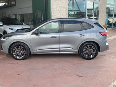 Ford Kuga 1.5 EcoBlue 120 CV 2WD ST-Line (8)