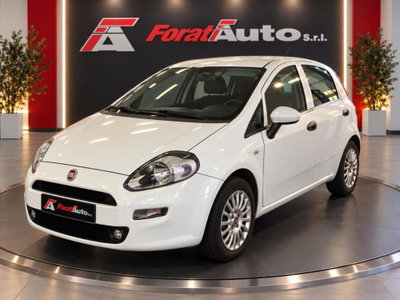 Fiat Punto 1.2 8V 5 porte Street usata