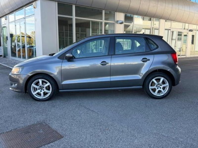 Volkswagen Polo 1.6 TDI DPF 5 porte Comfortline (2)
