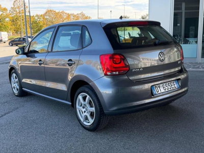 Volkswagen Polo 1.6 TDI DPF 5 porte Comfortline (3)