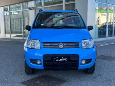 Fiat Panda 1.3 MJT 16V 4x4 (4)