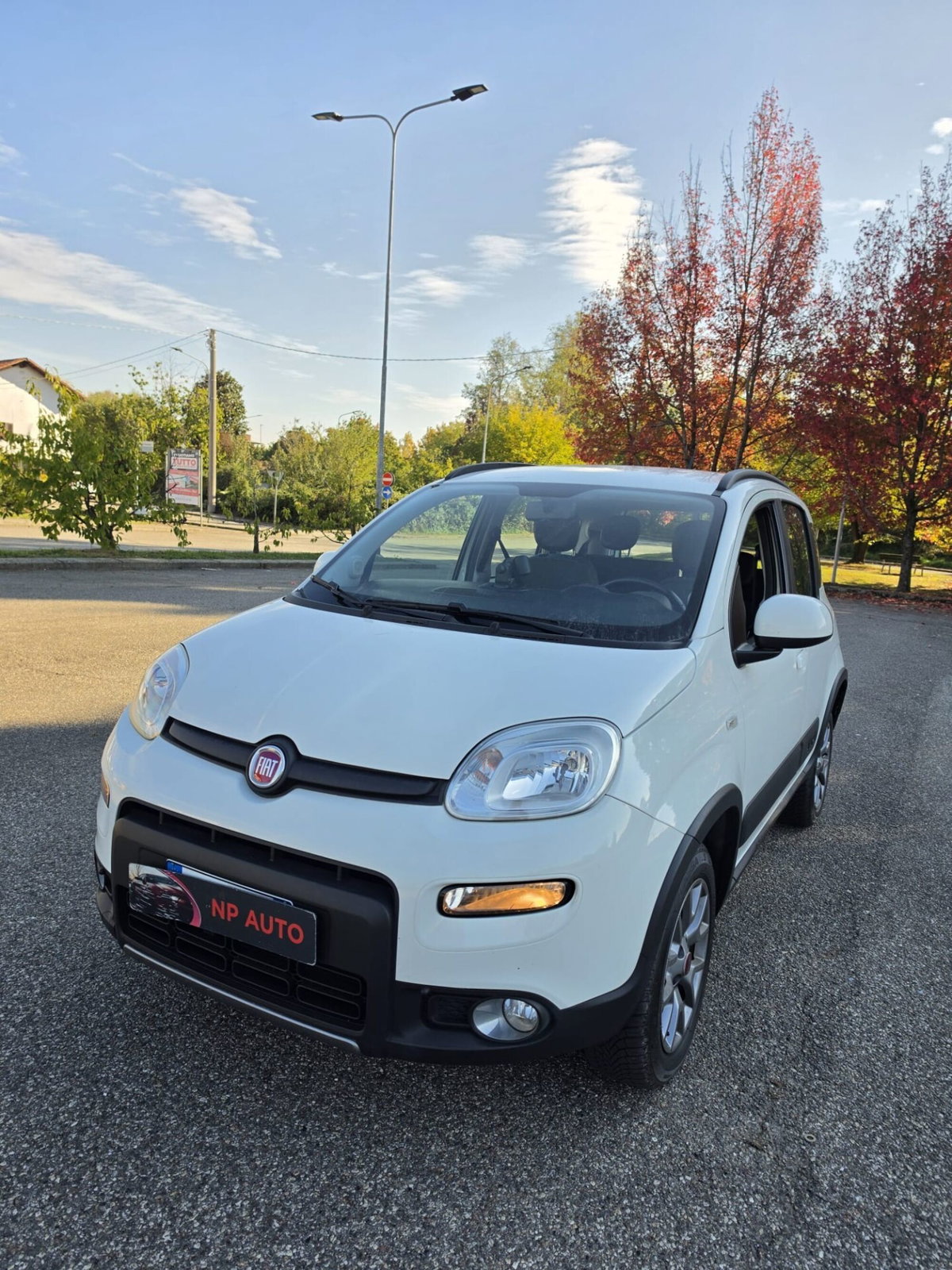 Fiat Panda 1.3 MJT 95 CV S&S 4x4 (5)