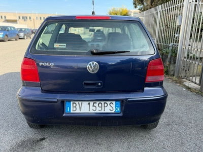 Volkswagen Polo 1.0 cat 3 porte Air (5)