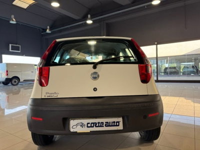 Fiat Punto 1.2 3 porte Active (15)