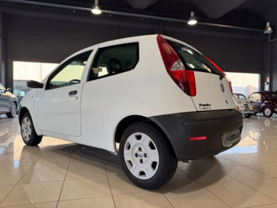 Fiat Punto 1.2 3 porte Active (20)