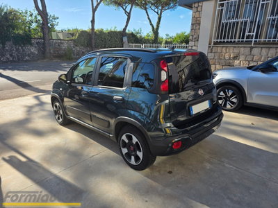 Fiat Panda Cross Cross 1.0 FireFly S&S Hybrid (5)