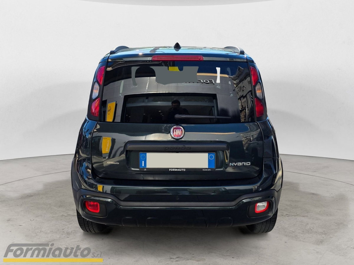 Fiat Panda Cross Cross 1.0 FireFly S&S Hybrid (6)