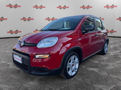 Fiat Panda Cross Cross 1.0 FireFly S&S Hybrid usata