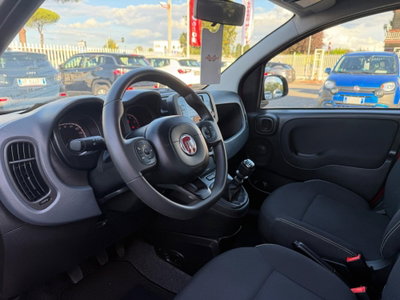 Fiat Panda Cross Cross 1.0 FireFly S&S Hybrid (14)