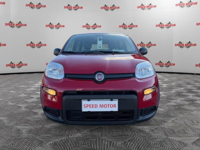 Fiat Panda Cross Cross 1.0 FireFly S&S Hybrid (2)