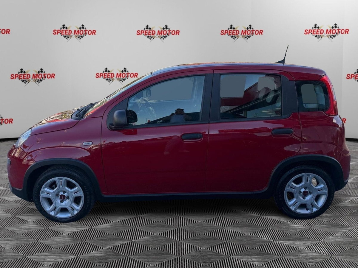 Fiat Panda Cross Cross 1.0 FireFly S&S Hybrid (4)