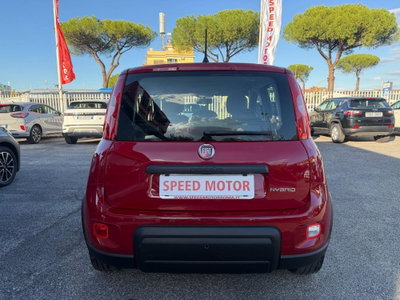 Fiat Panda Cross Cross 1.0 FireFly S&S Hybrid (5)