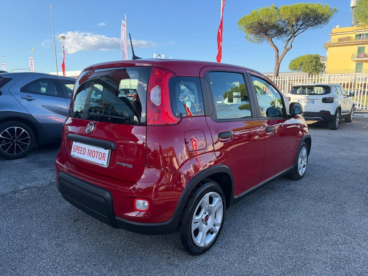 Fiat Panda Cross Cross 1.0 FireFly S&S Hybrid (6)