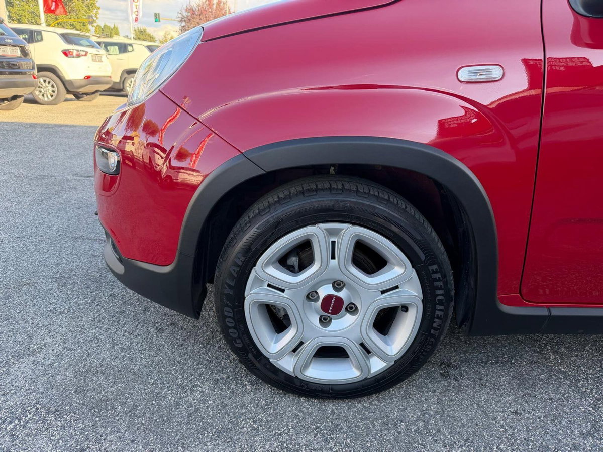 Fiat Panda Cross Cross 1.0 FireFly S&S Hybrid (8)