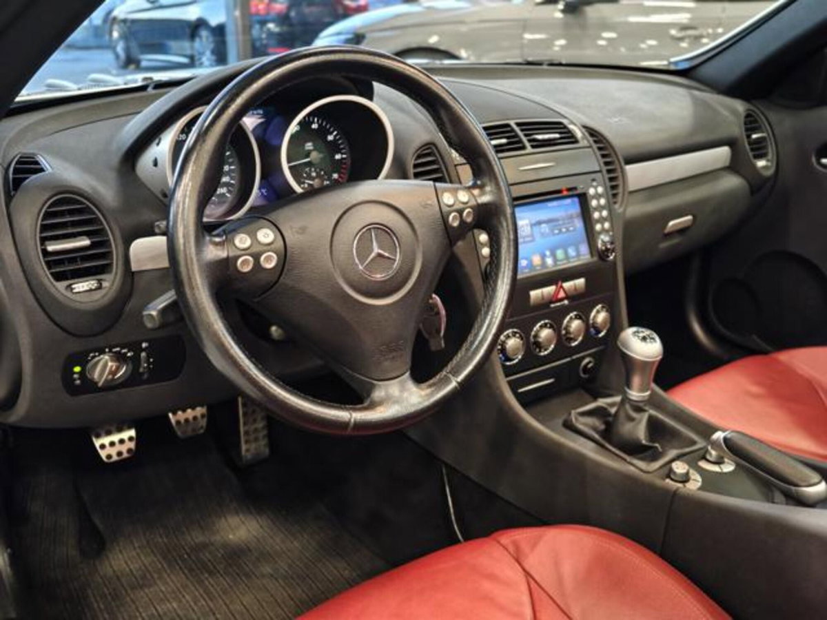 Mercedes-Benz SLK 200 Kompressor cat (10)